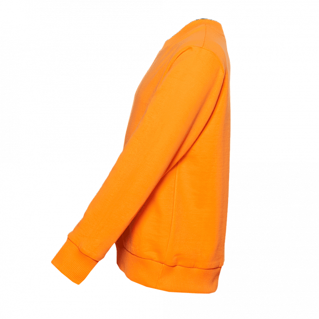 Толстовка  Оранжевый с логотипом в Екатеринбурге заказать по выгодной цене в кибермаркете AvroraStore