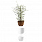 Горшок для растений с функцией самополива Flowerpot, большой, белый с логотипом в Екатеринбурге заказать по выгодной цене в кибермаркете AvroraStore