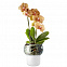Горшок для орхидеи с функцией самополива Orchid Pot, малый, белый с логотипом в Екатеринбурге заказать по выгодной цене в кибермаркете AvroraStore