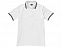 Рубашка поло "Erie" мужская с логотипом в Екатеринбурге заказать по выгодной цене в кибермаркете AvroraStore