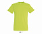 Фуфайка (футболка) REGENT мужская,Зеленое яблоко XXS с логотипом в Екатеринбурге заказать по выгодной цене в кибермаркете AvroraStore