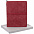 Набор Business Diary, красный с логотипом в Екатеринбурге заказать по выгодной цене в кибермаркете AvroraStore