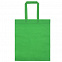 Сумка для покупок Span 70, зеленая с логотипом в Екатеринбурге заказать по выгодной цене в кибермаркете AvroraStore