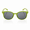 Солнцезащитные очки ECO, зеленый с логотипом в Екатеринбурге заказать по выгодной цене в кибермаркете AvroraStore