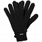 Перчатки Alpine, черные с логотипом в Екатеринбурге заказать по выгодной цене в кибермаркете AvroraStore