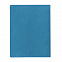 Бизнес-блокнот "Biggy", B5 формат, голубой, серый форзац, мягкая обложка, в клетку с логотипом в Екатеринбурге заказать по выгодной цене в кибермаркете AvroraStore