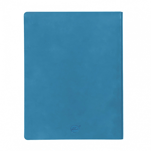 Бизнес-блокнот "Biggy", B5 формат, голубой, серый форзац, мягкая обложка, в клетку с логотипом в Екатеринбурге заказать по выгодной цене в кибермаркете AvroraStore