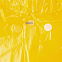Дождевик BrightWay, желтый с логотипом в Екатеринбурге заказать по выгодной цене в кибермаркете AvroraStore