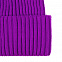 Шапка Yong, фиолетовая с логотипом в Екатеринбурге заказать по выгодной цене в кибермаркете AvroraStore
