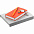 Набор Idea Memory, оранжевый с логотипом в Екатеринбурге заказать по выгодной цене в кибермаркете AvroraStore