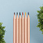 Набор цветных карандашей KINDERLINE small,6 цветов с логотипом в Екатеринбурге заказать по выгодной цене в кибермаркете AvroraStore
