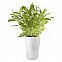 Горшок для растений с функцией самополива Flowerpot, средний, белый с логотипом в Екатеринбурге заказать по выгодной цене в кибермаркете AvroraStore
