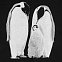 Свитшот детский Like a Penguin, черный с логотипом в Екатеринбурге заказать по выгодной цене в кибермаркете AvroraStore