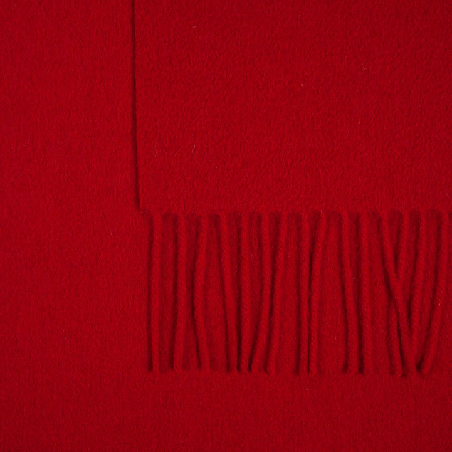Шарф Graceful, красный с логотипом в Екатеринбурге заказать по выгодной цене в кибермаркете AvroraStore