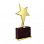 Статуэтка "Звезда", золото с логотипом в Екатеринбурге заказать по выгодной цене в кибермаркете AvroraStore