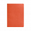 Ежедневник недатированный Tony, А5, оранжевый, кремовый блок в клетку с логотипом в Екатеринбурге заказать по выгодной цене в кибермаркете AvroraStore