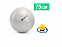 Мяч для фитнеса Fitball 75 с насосом с логотипом в Екатеринбурге заказать по выгодной цене в кибермаркете AvroraStore