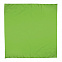Платок-бандана BANDANA - Светло-зеленый YY с логотипом в Екатеринбурге заказать по выгодной цене в кибермаркете AvroraStore
