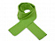 Шарф Dunant, зеленое яблоко с логотипом в Екатеринбурге заказать по выгодной цене в кибермаркете AvroraStore