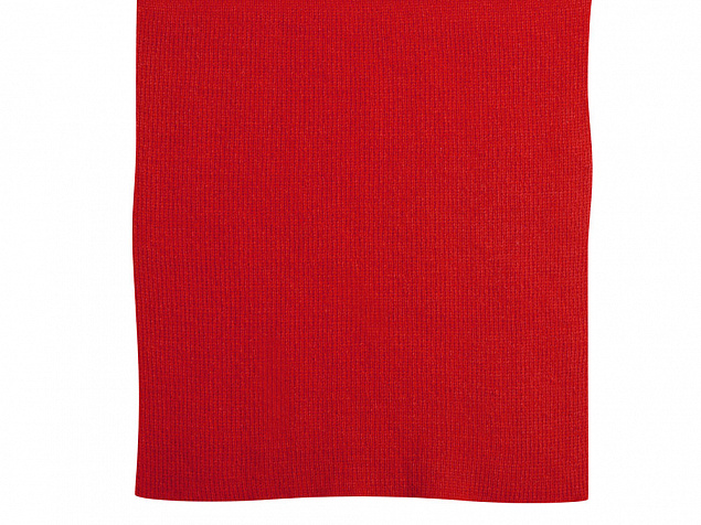 Шарф Dunant, красный с логотипом в Екатеринбурге заказать по выгодной цене в кибермаркете AvroraStore