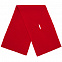 Шарф Yong, красный с логотипом в Екатеринбурге заказать по выгодной цене в кибермаркете AvroraStore