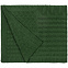 Плед Snippet, темно-зеленый с логотипом в Екатеринбурге заказать по выгодной цене в кибермаркете AvroraStore