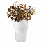 Горшок для растений с функцией самополива Flowerpot, малый, белый с логотипом в Екатеринбурге заказать по выгодной цене в кибермаркете AvroraStore