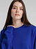 Свитшот унисекс BNC Organic, ярко-синий с логотипом в Екатеринбурге заказать по выгодной цене в кибермаркете AvroraStore