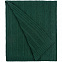 Плед Trenza, зеленый с логотипом в Екатеринбурге заказать по выгодной цене в кибермаркете AvroraStore