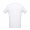 Рубашка-поло мужская ADAM 195 с логотипом в Екатеринбурге заказать по выгодной цене в кибермаркете AvroraStore