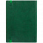 Ежедневник Vivian, недатированный, зеленый с логотипом в Екатеринбурге заказать по выгодной цене в кибермаркете AvroraStore