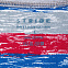 Футболка мужская RAYET двусторонняя, красная с синим с логотипом в Екатеринбурге заказать по выгодной цене в кибермаркете AvroraStore