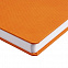 Набор Grade, оранжевый с логотипом в Екатеринбурге заказать по выгодной цене в кибермаркете AvroraStore