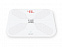 Умные весы с Wi-Fi S3 Lite с логотипом в Екатеринбурге заказать по выгодной цене в кибермаркете AvroraStore
