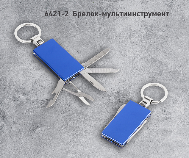 Брелок-мультиинструмент, синий с логотипом в Екатеринбурге заказать по выгодной цене в кибермаркете AvroraStore