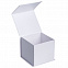 Коробка Alian, белая с логотипом в Екатеринбурге заказать по выгодной цене в кибермаркете AvroraStore