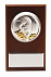 Плакетка малая «Тигр на монетах» с возможностью персонализации с логотипом в Екатеринбурге заказать по выгодной цене в кибермаркете AvroraStore