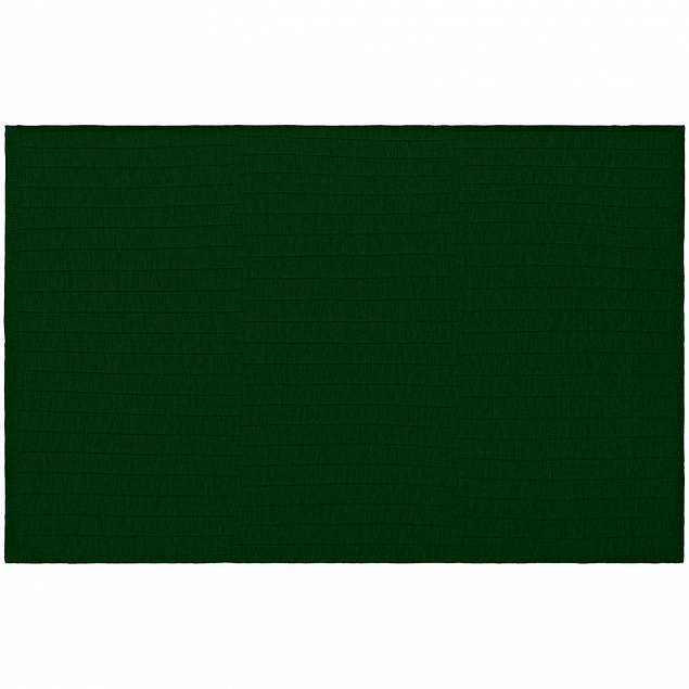 Плед Bambolay, темно-зеленый с логотипом в Екатеринбурге заказать по выгодной цене в кибермаркете AvroraStore