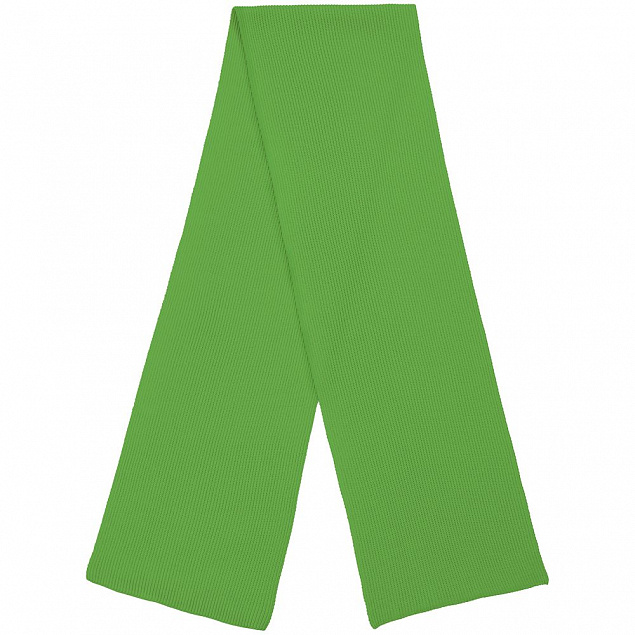 Шарф Life Explorer, зеленый с логотипом в Екатеринбурге заказать по выгодной цене в кибермаркете AvroraStore