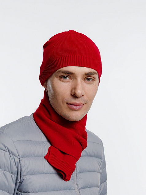 Шарф Siver, красный с логотипом в Екатеринбурге заказать по выгодной цене в кибермаркете AvroraStore