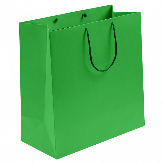 Пакет бумажный Porta, большой, зеленый с логотипом в Екатеринбурге заказать по выгодной цене в кибермаркете AvroraStore