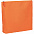 Органайзер Opaque, оранжевый с логотипом в Екатеринбурге заказать по выгодной цене в кибермаркете AvroraStore