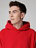 Худи флисовое унисекс Manakin, красное с логотипом в Екатеринбурге заказать по выгодной цене в кибермаркете AvroraStore