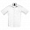 Рубашка мужская BRISTOL 105 с логотипом в Екатеринбурге заказать по выгодной цене в кибермаркете AvroraStore