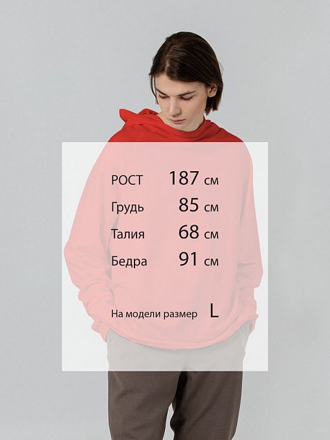 Худи Vozduh, красное с логотипом в Екатеринбурге заказать по выгодной цене в кибермаркете AvroraStore
