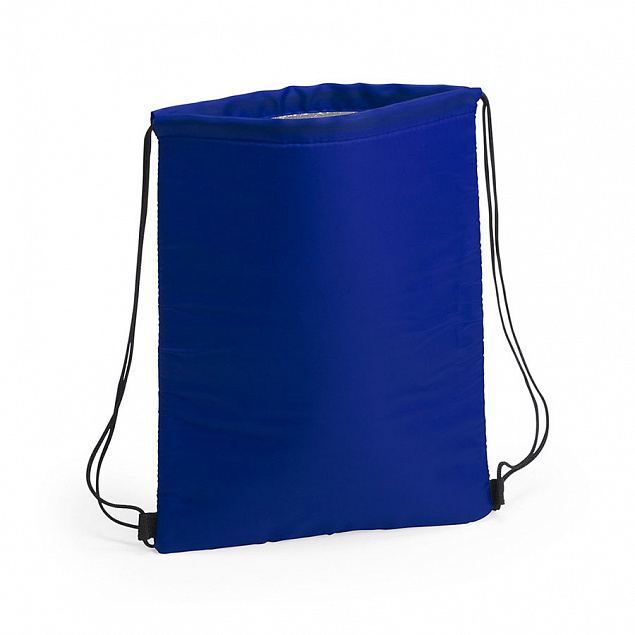 Термосумка NIPEX, синий, полиэстер, алюминивая подкладка, 32 x 42  см с логотипом в Екатеринбурге заказать по выгодной цене в кибермаркете AvroraStore