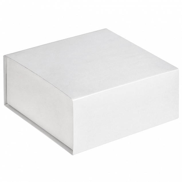 Коробка Amaze, белая с логотипом в Екатеринбурге заказать по выгодной цене в кибермаркете AvroraStore