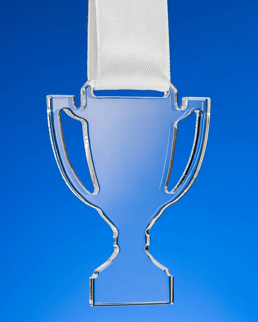 Награда Cup Medal с логотипом в Екатеринбурге заказать по выгодной цене в кибермаркете AvroraStore