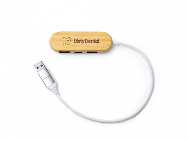 USB хаб BADOC с логотипом в Екатеринбурге заказать по выгодной цене в кибермаркете AvroraStore
