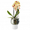 Горшок для орхидеи с функцией самополива Orchid Pot, большой, белый с логотипом в Екатеринбурге заказать по выгодной цене в кибермаркете AvroraStore